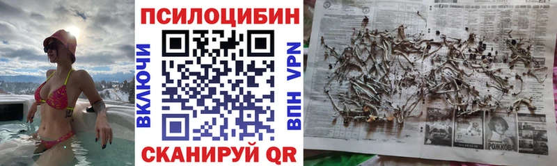 OMG как войти  Лодейное Поле  Псилоцибиновые грибы прущие грибы  наркошоп 